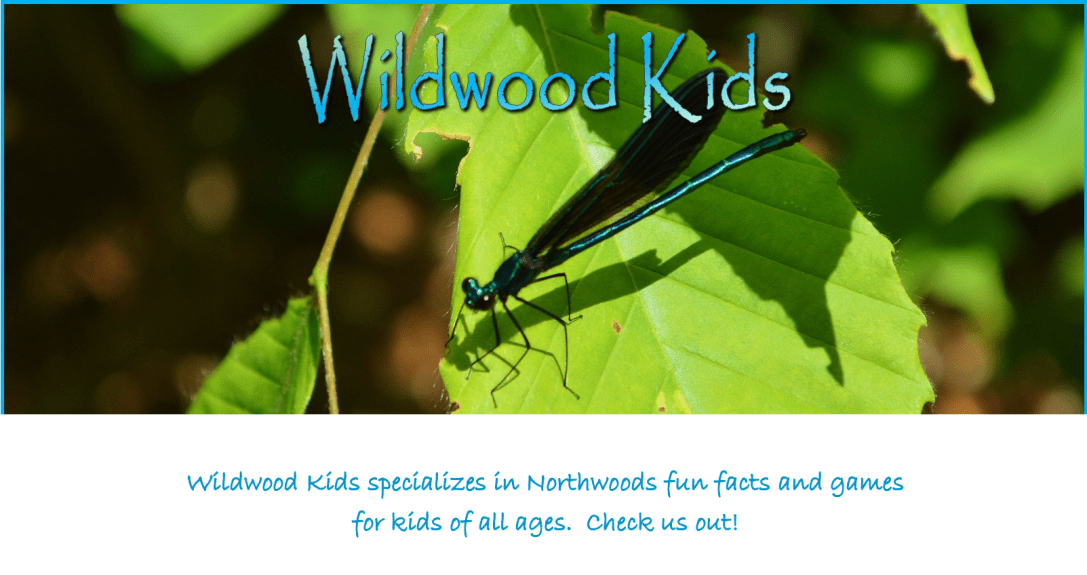 Wildwood Kids: spiritofthewildwood.com/kids