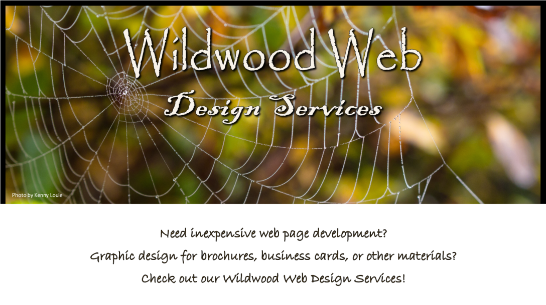 Wildwood Web Design Services: spiritofthewildwood.com/wildwoodweb