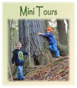 MiniTours2