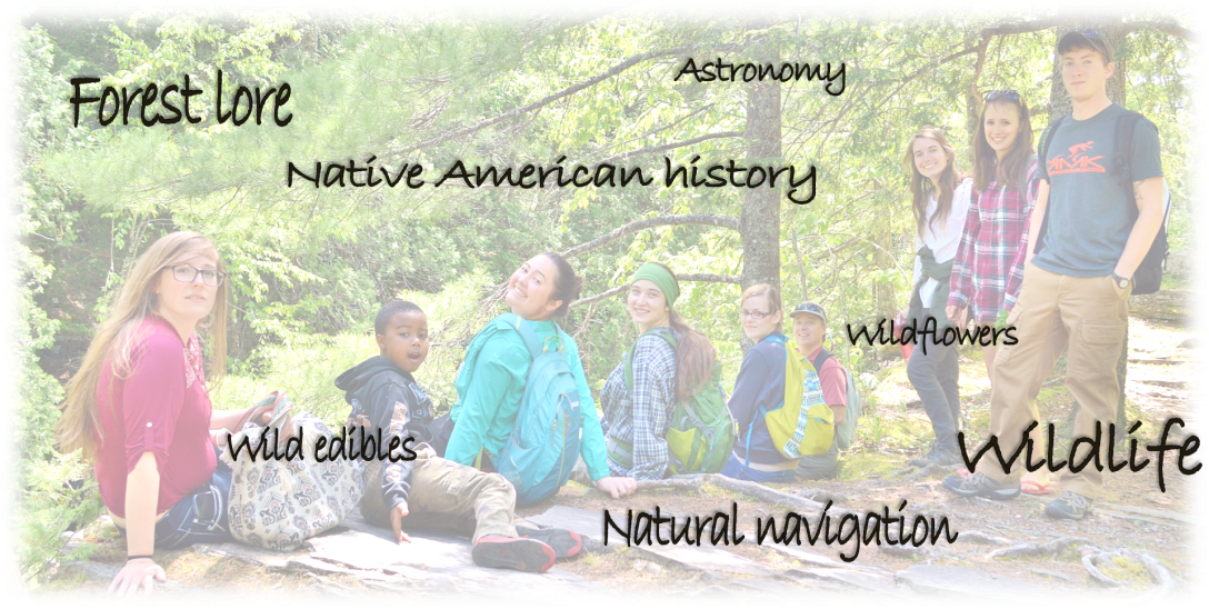 Wildflowers, Natural Navigation & more!