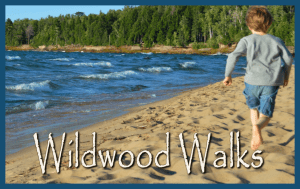 1-wildwoodwalks-mini
