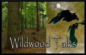 2-wildwoodtalks-mini