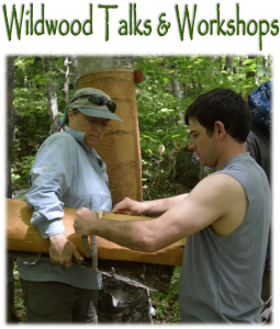 Talks-Wrkshps-intro-pic