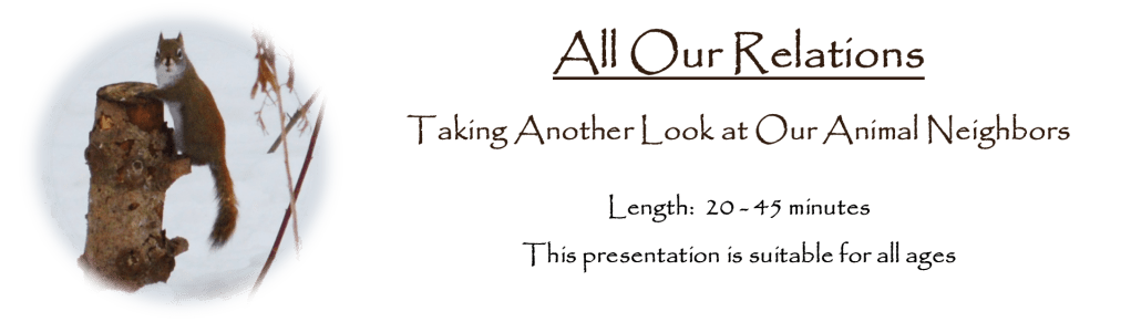 All Our Relations: Taking Another Look at Our Animal Neighbors