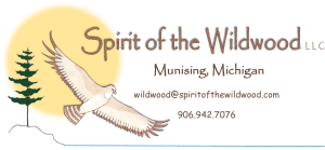 wildwood@spiritofthewildwood.com
