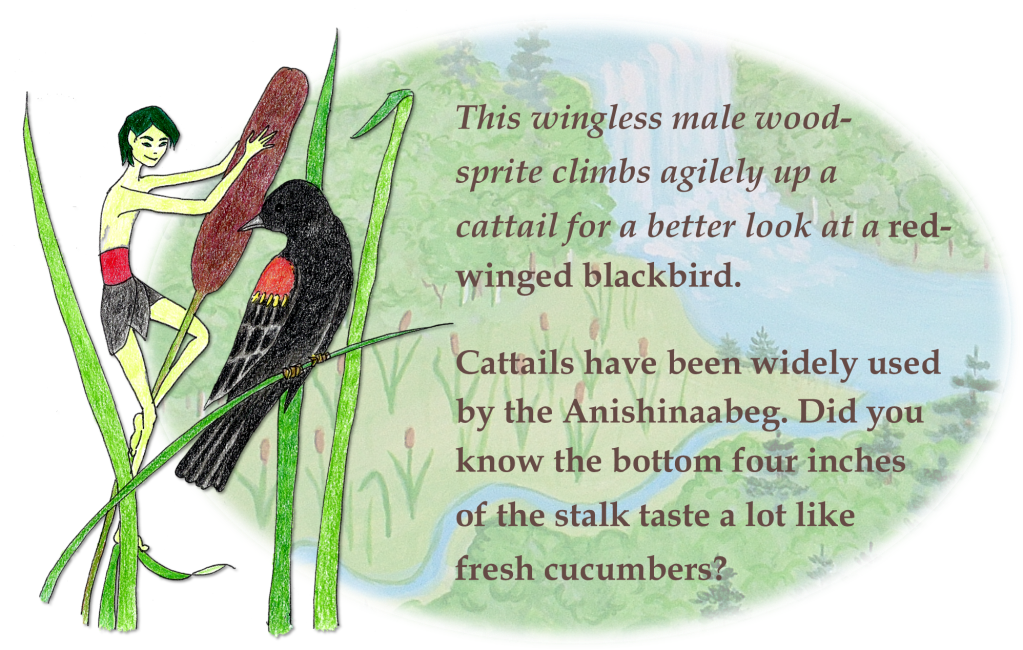 Story_Sprite w cattail