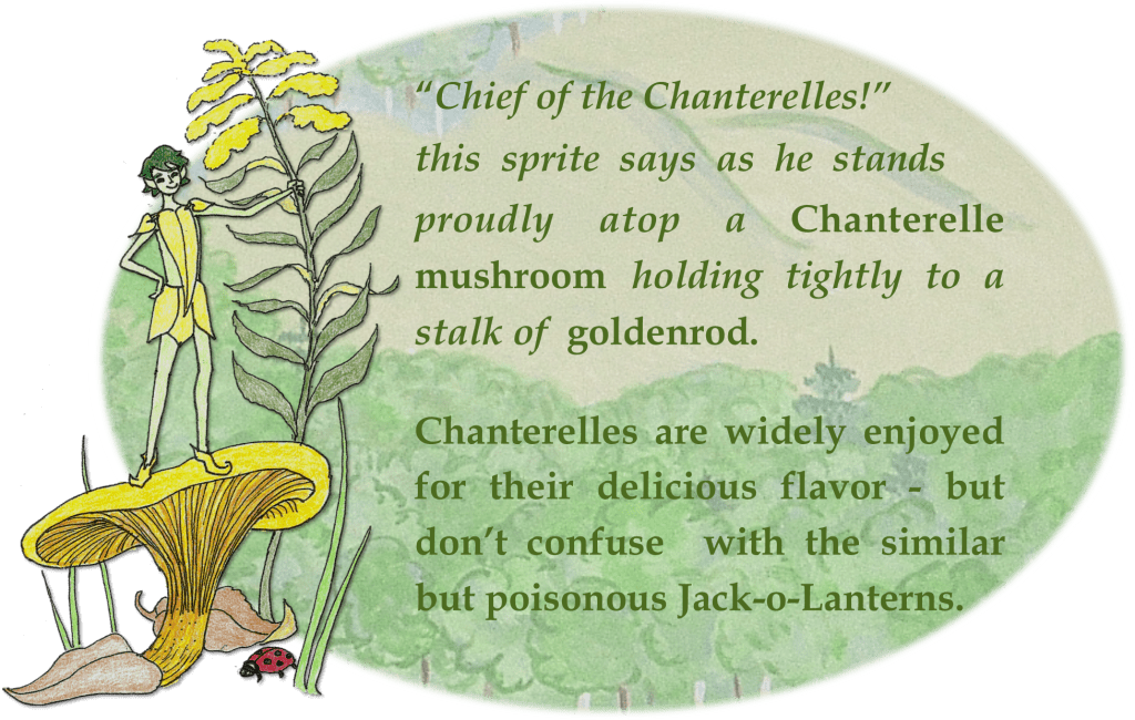 Story_Sprite w goldenrod (2)