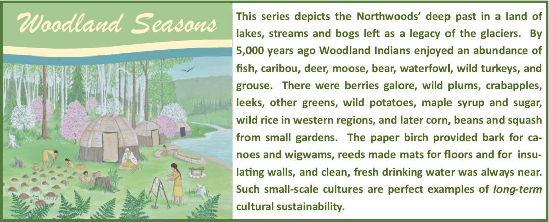 Woodland Seasons Series: This series depicts the Northwoods’ deep past in a land of lakes, streams and bogs left as a legacy of the glaciers. By 5,000 years ago Woodland Indians enjoyed an abundance of fish, caribou, deer, moose, bear, waterfowl, wild turkeys, and grouse. There were berries galore, wild plums, crabapples, leeks, other greens, wild potatoes, maple syrup and sugar, wild rice in western regions, and later corn, beans and squash from small gardens. The paper birch provided bark for canoes and wigwams, reeds made mats for floors and for insulating walls, and clean, fresh drinking water was always near. Such small-scale cultures are perfect examples of long-term cultural sustainability.